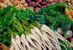 คำอธิบายพันธุ์และชนิดของผักชีฝรั่ง 40 ชนิดที่ดีที่สุด ลักษณะของต้นผักชีฝรั่ง