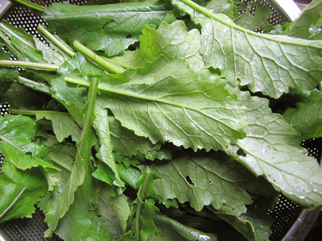 หัวผักกาดโตเกียว