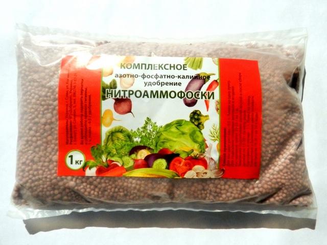 pour la croissance du maïs