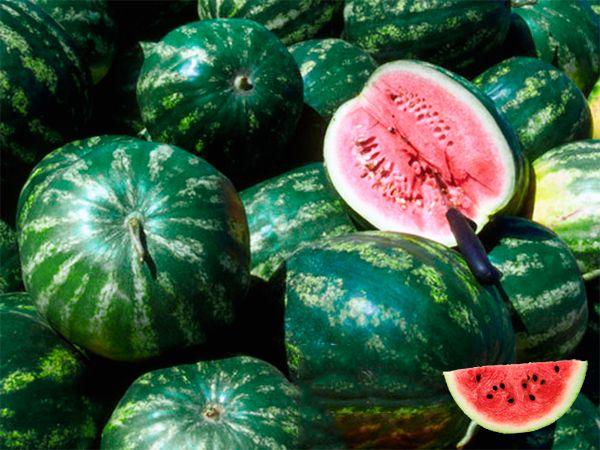 แตงโมพริก