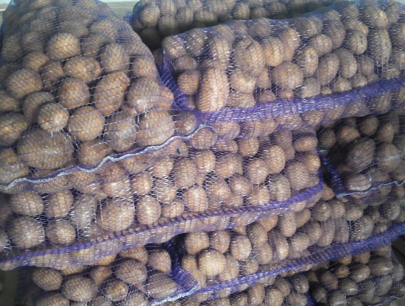 conserver les pommes de terre