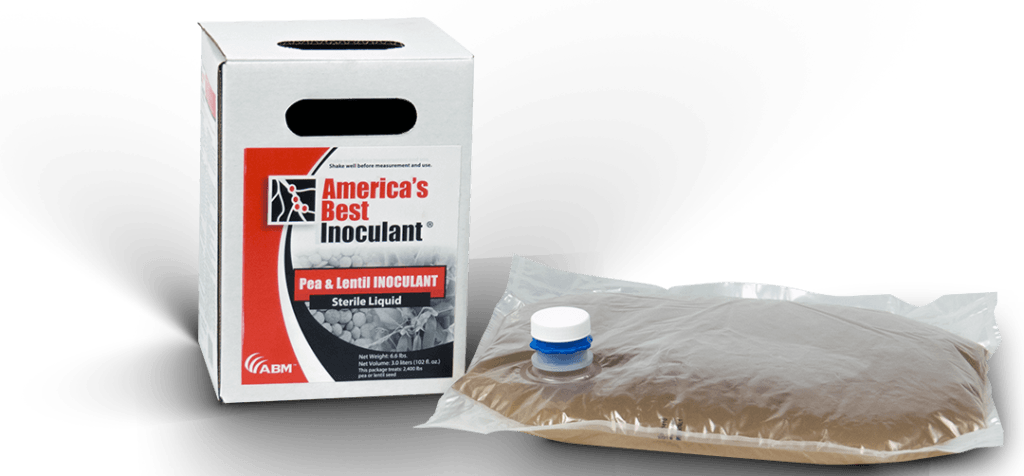 การแปรรูปถั่วเลนทิล