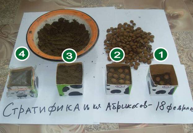 règle d'atterrissage