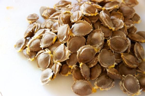 ประโยชน์ของเมล็ดพืช