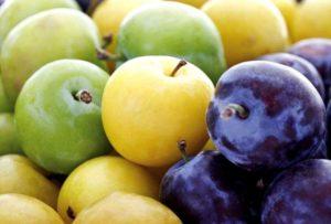 คำอธิบายและการปลูกพันธุ์เชอร์รี่พลัมที่ดีที่สุด 15 สายพันธุ์สำหรับภูมิภาคมอสโก กฎการปลูกและการดูแล