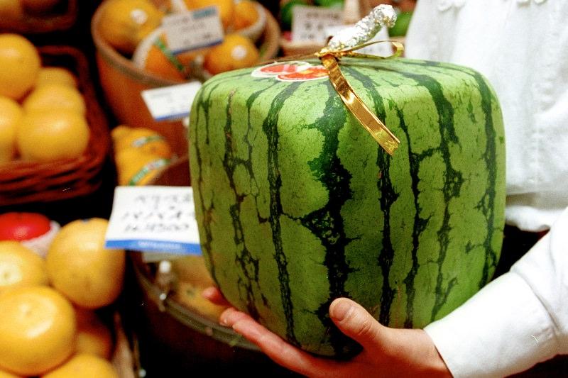 การเก็บเกี่ยว