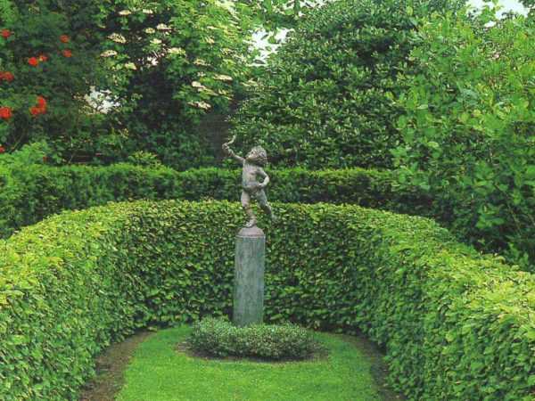 พันธุ์ไม้ยืนต้น