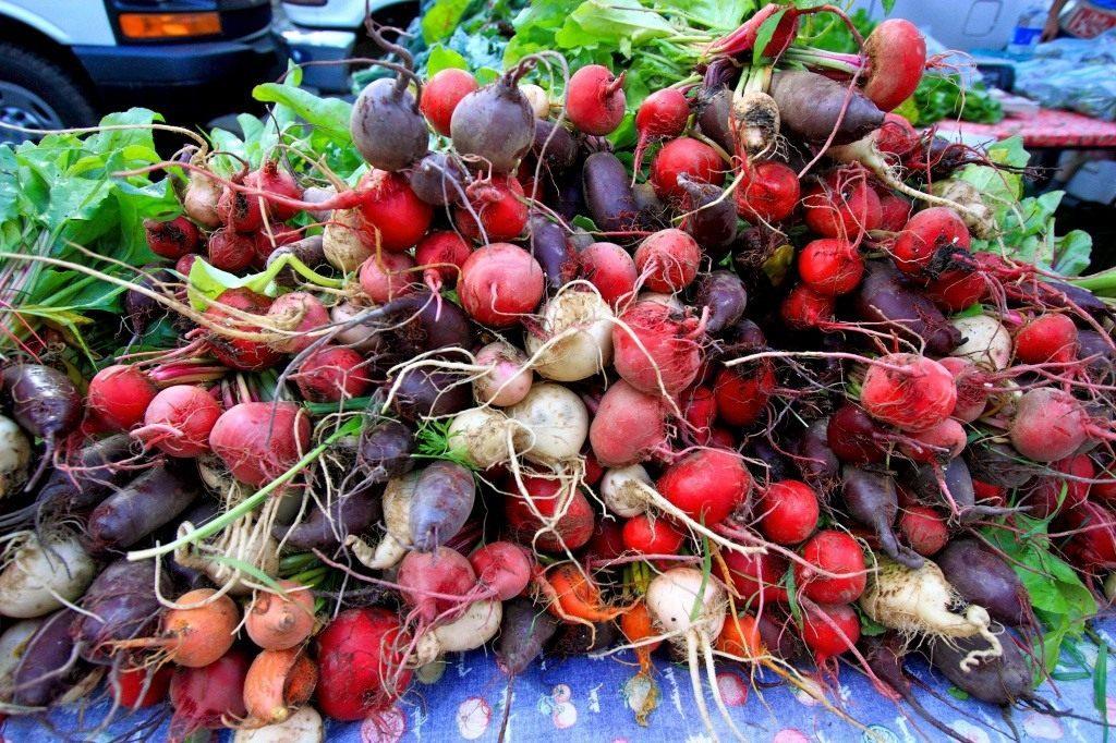 พันธุ์หัวบีท