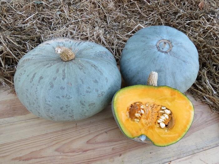 ฟักทองโรล