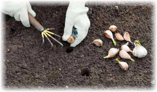 กฎการลงจอด