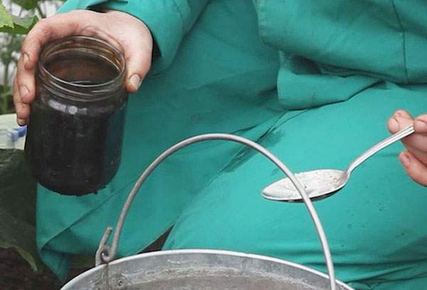 ยาพื้นบ้าน