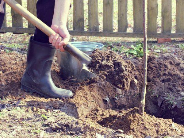 อาคารสูงในพื้นดิน