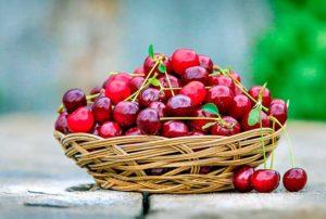 รายละเอียดและพันธุ์เชอร์รี่พันธุ์ Shpanka การปลูกและการดูแลรักษา