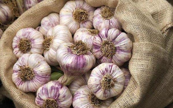 กระเทียมในถุง