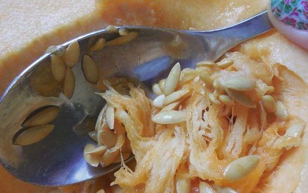 เมล็ดแตงโม