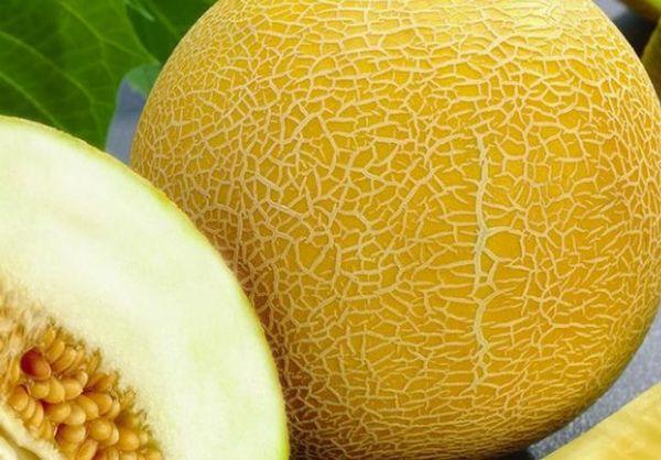 แตงโมขนาดใหญ่