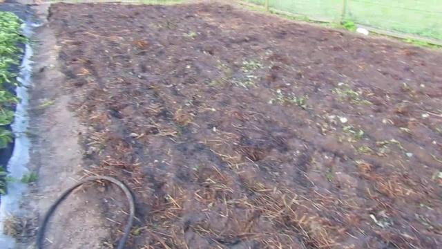 การเตรียมดิน