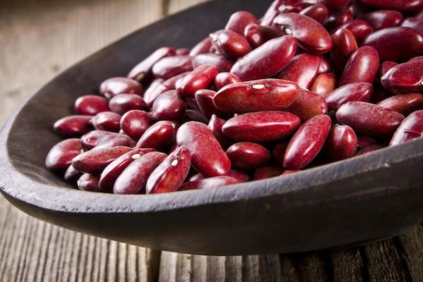 พันธุ์ถั่วต่างๆ