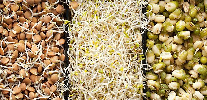 différentes lentilles