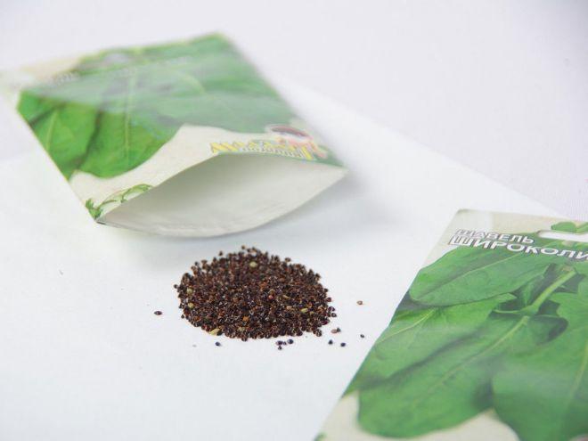 การเตรียมเมล็ดพันธุ์