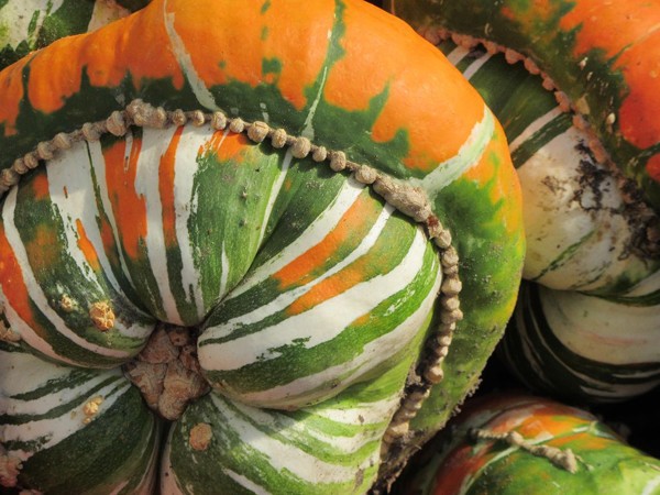 โดนัทหลากหลายชนิด