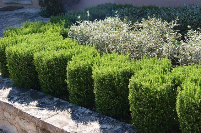 faire pousser une récolte