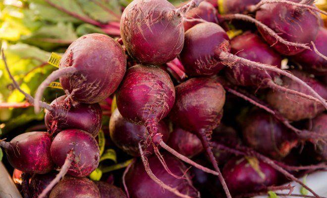 หัวบีทจากเดชา