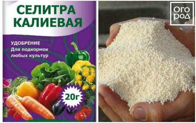 โพแทสเซียมไนเตรต