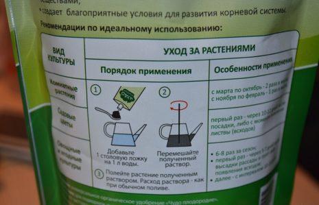 การดูแลต้นไม้