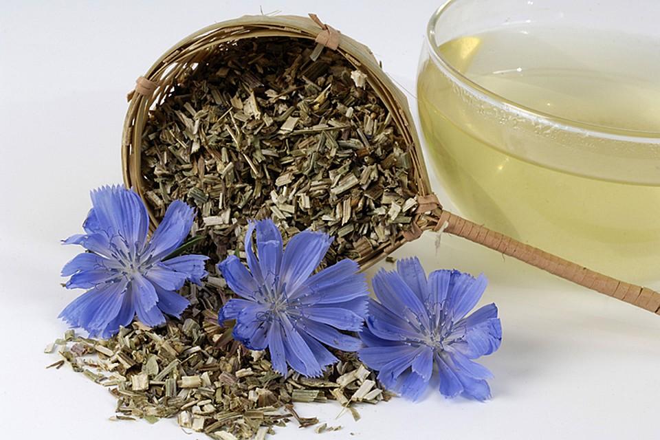 ชิโครีแห้ง