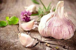 15 วิธีที่ดีที่สุดในการเก็บกระเทียมหลังจากขุดมันขึ้นมาที่บ้าน