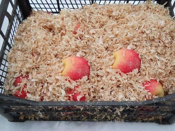 แอปเปิ้ลในขี้เลื่อย