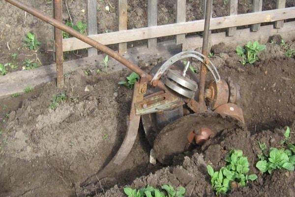 กระถางปลูกต้นไม้ DIY