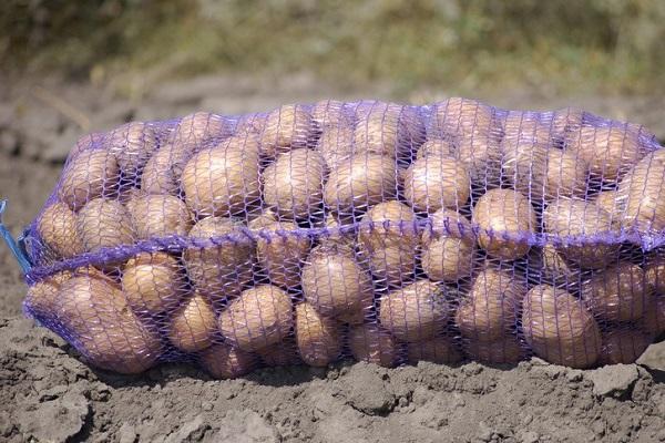 เก็บเกี่ยว