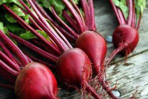 วิธีรดน้ำบีทรูทด้วยน้ำเกลือในพื้นที่โล่งให้หวานอย่างถูกวิธี
