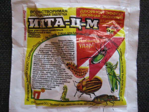 อินตา-ซีเอ็ม