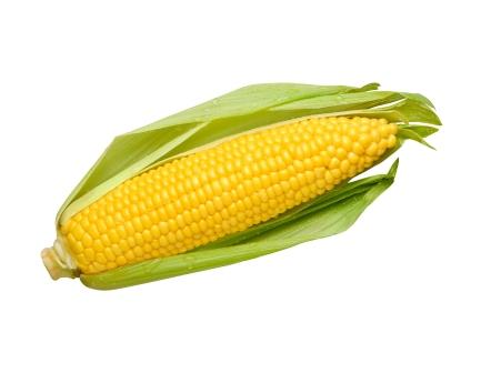 ข้าวโพดสุก