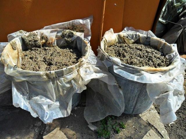 มูลไก่เป็นปุ๋ย