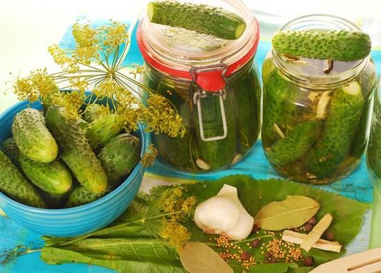 แตงกวากับหัวไชเท้า