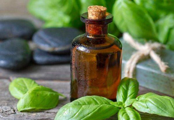 น้ำมันหอมระเหยโหระพา