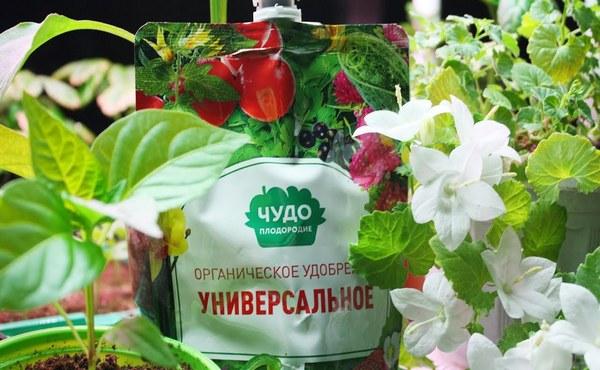 ปุ๋ยอินทรีย์