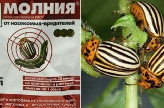 สารขับไล่แมลง