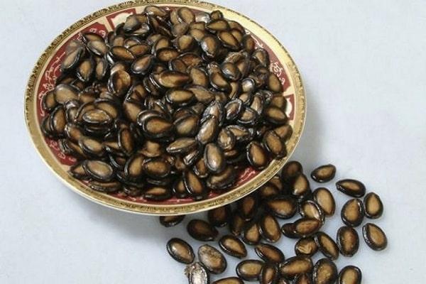 เมล็ดพันธุ์เพื่อสุขภาพ