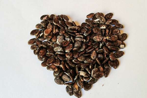 แตงโมเพื่อสุขภาพ