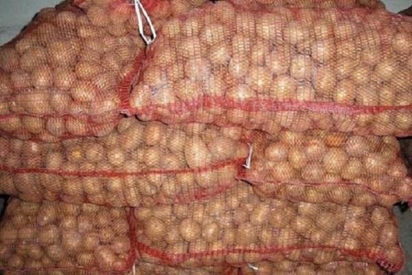 การเก็บรักษามันฝรั่ง