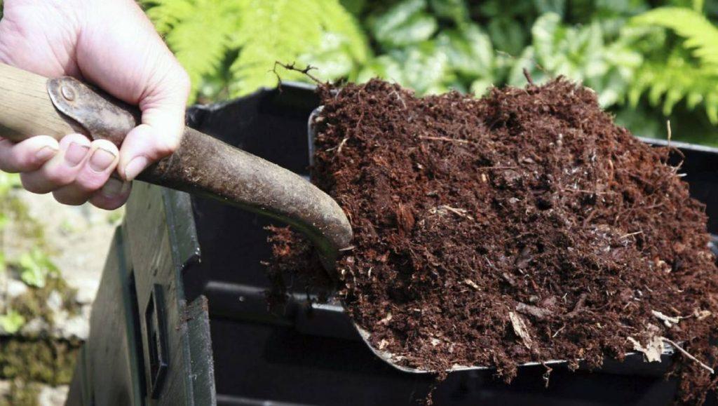 ปุ๋ยมูลไก่