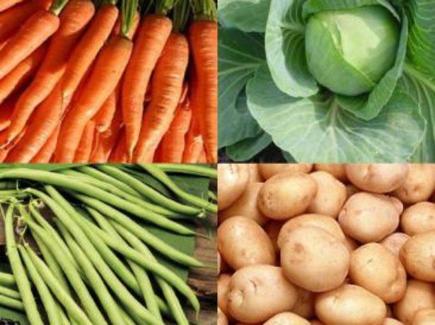 แครอทกะหล่ำปลี