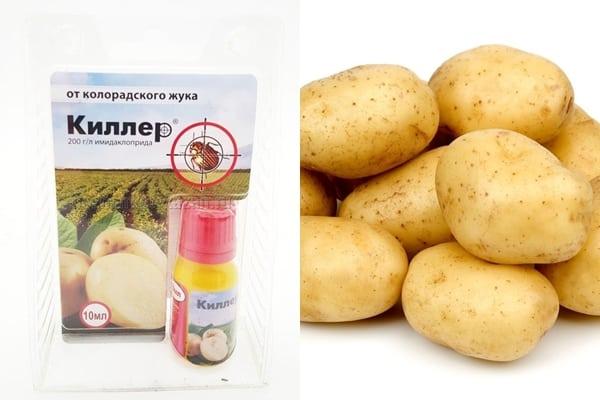 การควบคุมศัตรูพืช