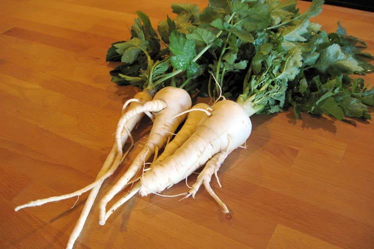 พาร์สนิปสด