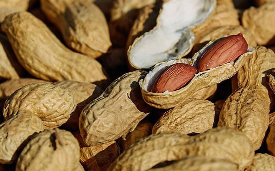 ถั่วลิสง: ประโยชน์และโทษ